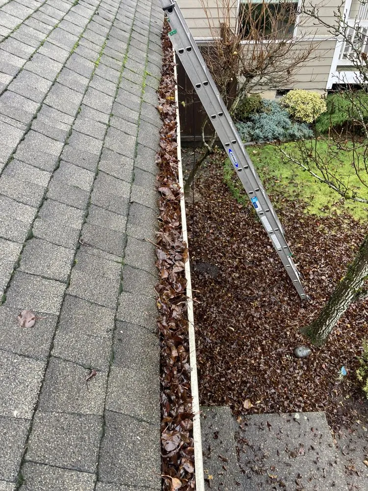 Slide of Perfect View Roof Cleaning & Care