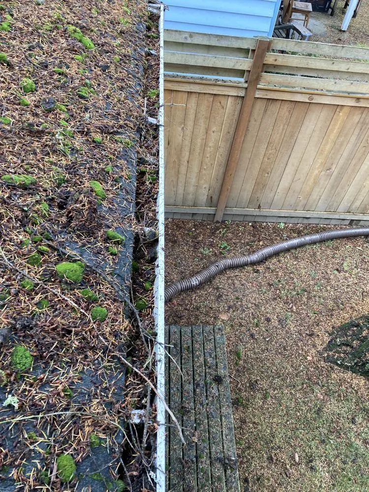 Slide of Perfect View Roof Cleaning & Care