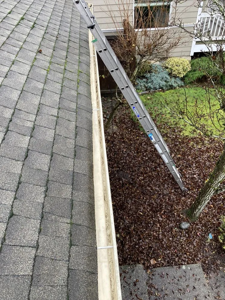 Slide of Perfect View Roof Cleaning & Care
