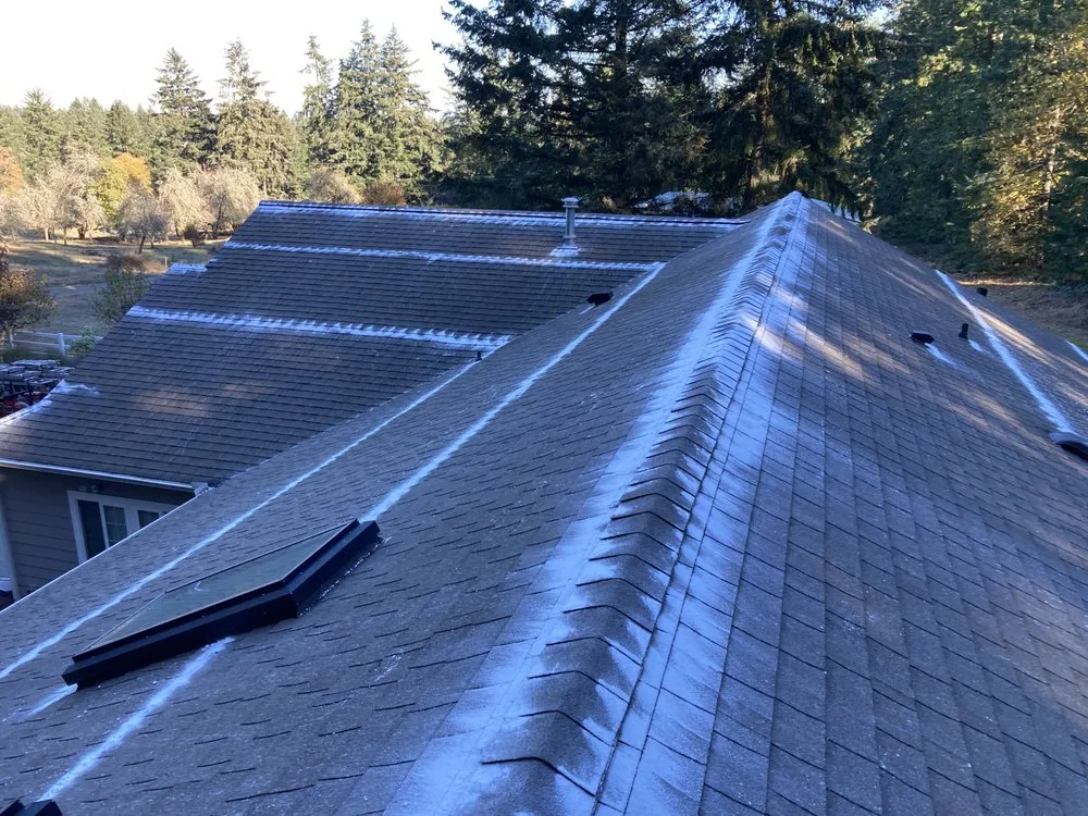 Slide of Perfect View Roof Cleaning & Care