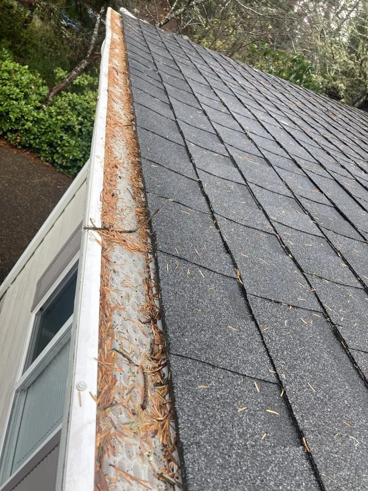 Slide of Perfect View Roof Cleaning & Care