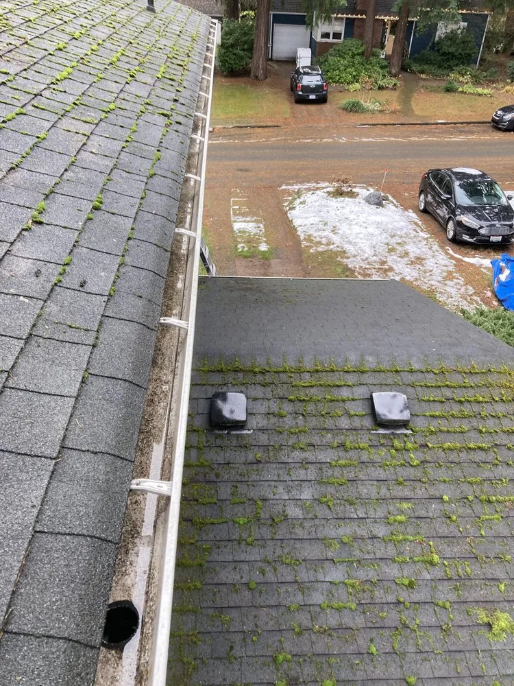 Slide of Perfect View Roof Cleaning & Care