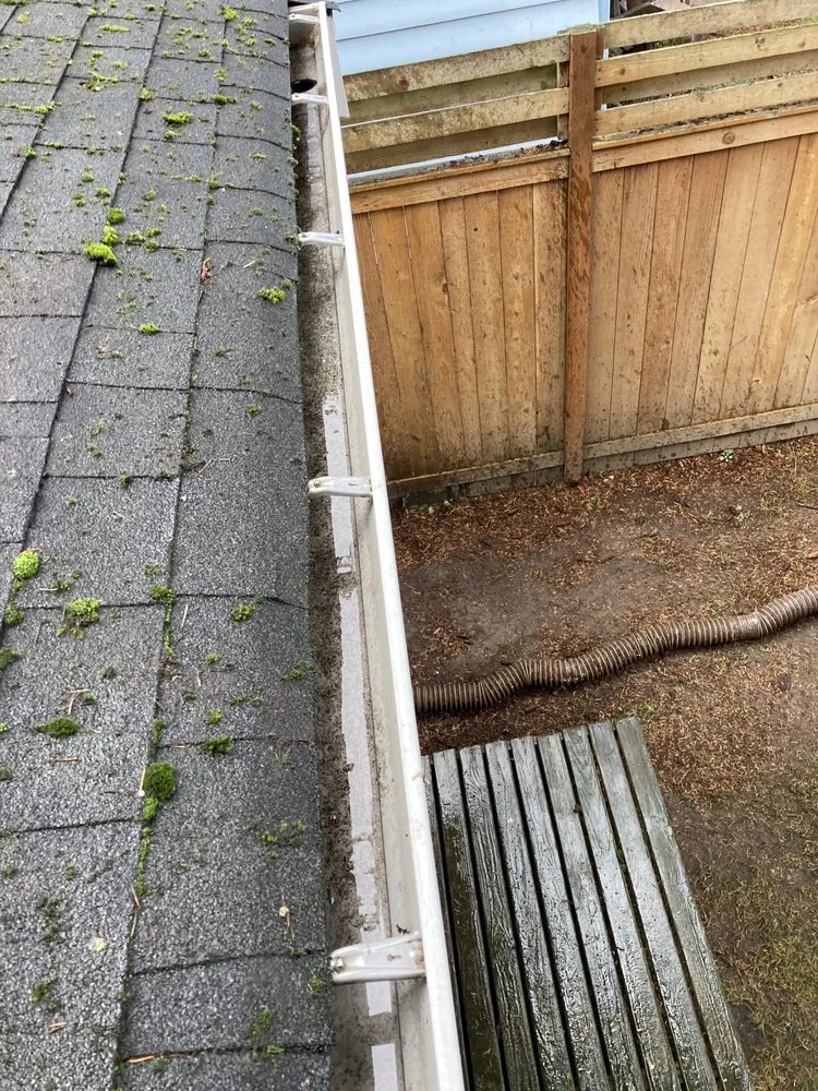 Slide of Perfect View Roof Cleaning & Care