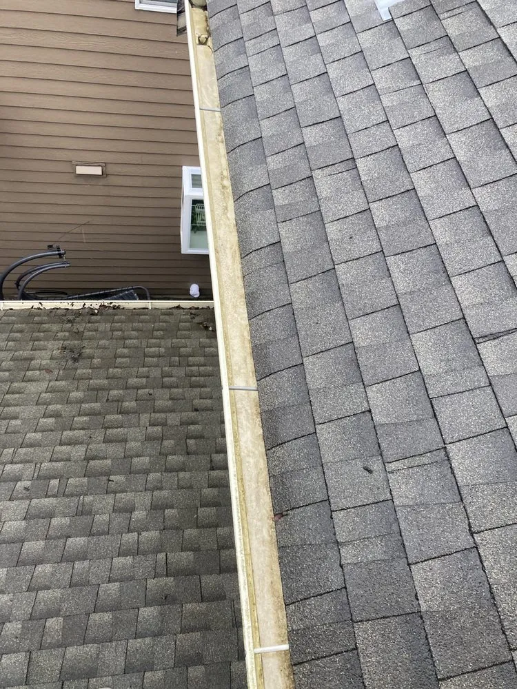 Slide of Perfect View Roof Cleaning & Care