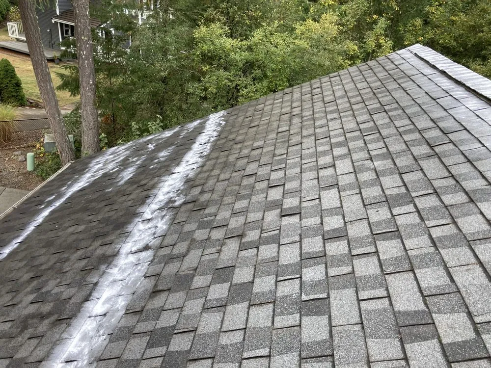 Slide of Perfect View Roof Cleaning & Care