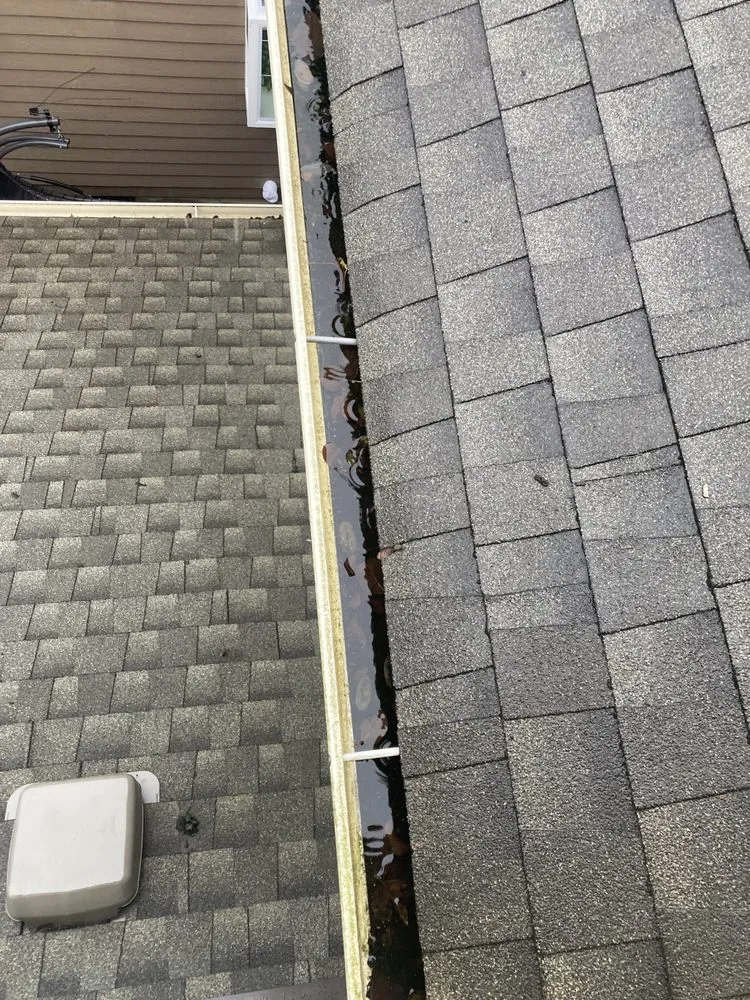 Slide of Perfect View Roof Cleaning & Care