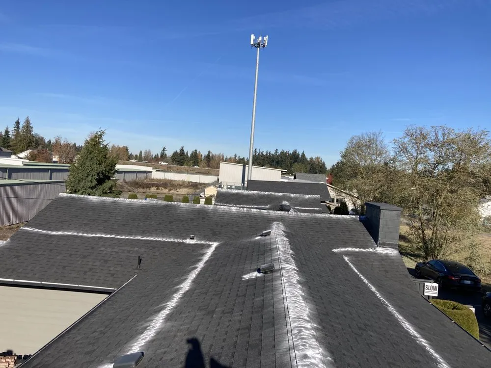 Slide of Perfect View Roof Cleaning & Care