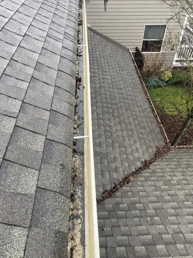 Slide of Perfect View Roof Cleaning & Care