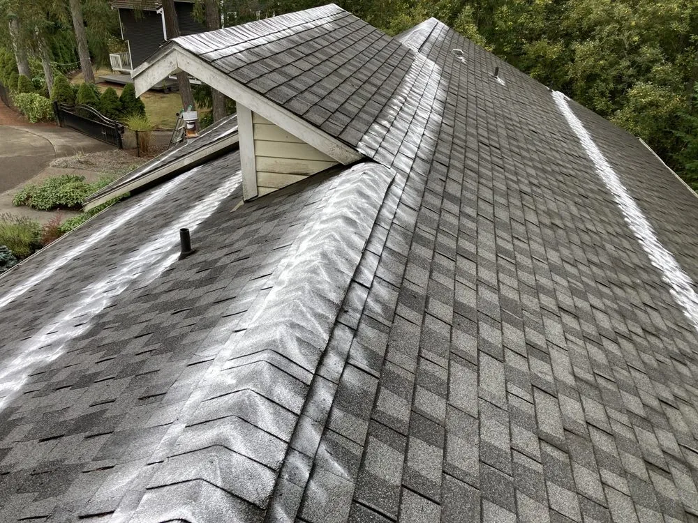 Slide of Perfect View Roof Cleaning & Care