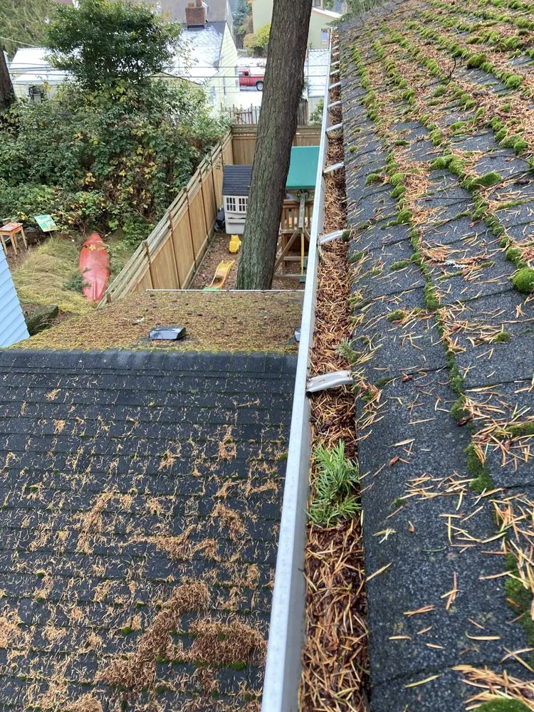 Slide of Perfect View Roof Cleaning & Care