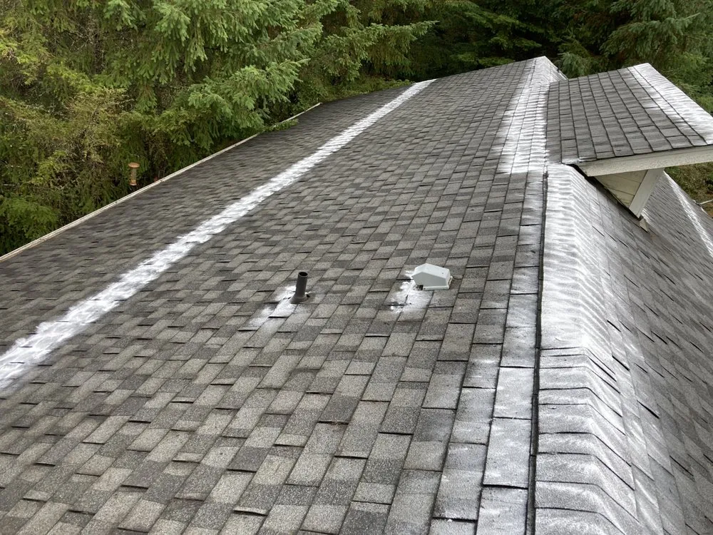 Slide of Perfect View Roof Cleaning & Care