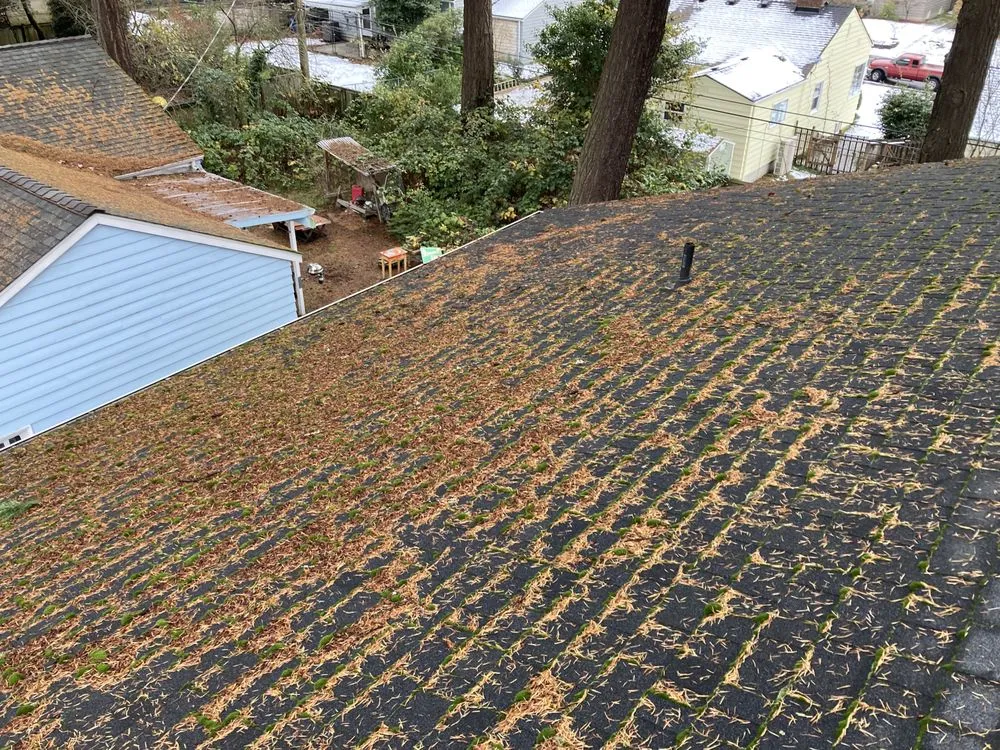Slide of Perfect View Roof Cleaning & Care
