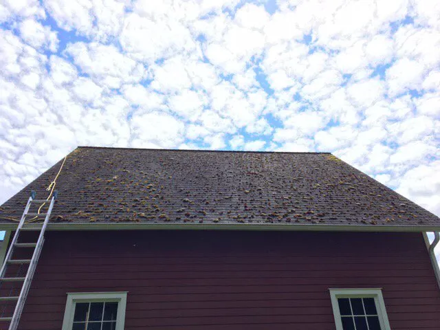 Slide of Perfection Services