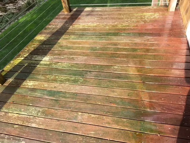 Slide of Perfection Services