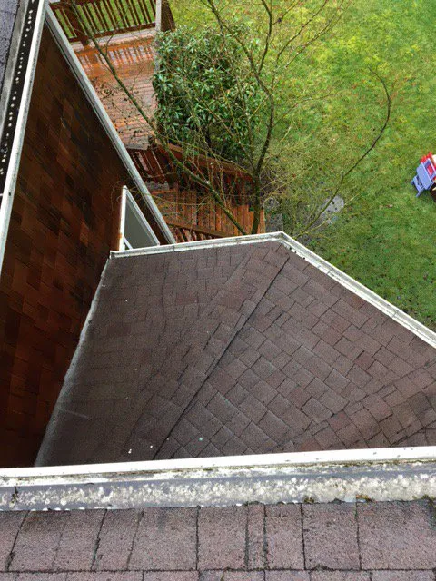 Slide of Perfection Services