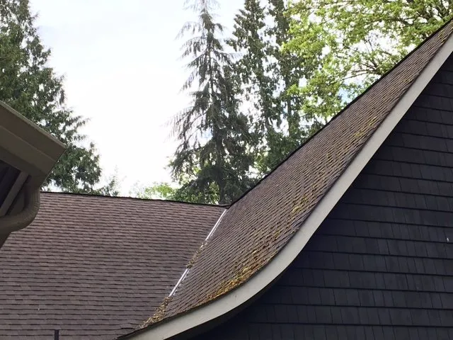 Slide of Perfection Services