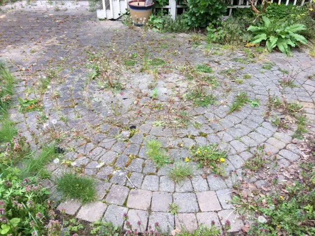 Slide of Perfection Services