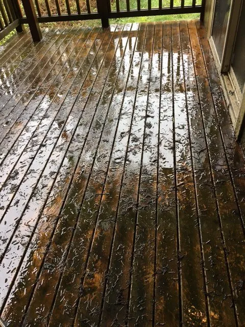 Slide of Perfection Services