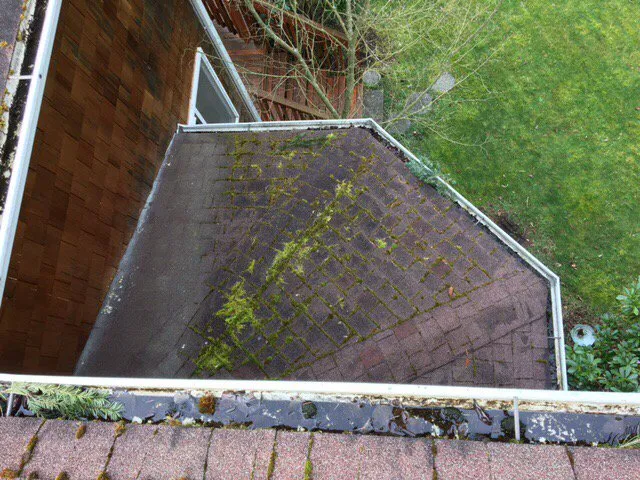 Slide of Perfection Services