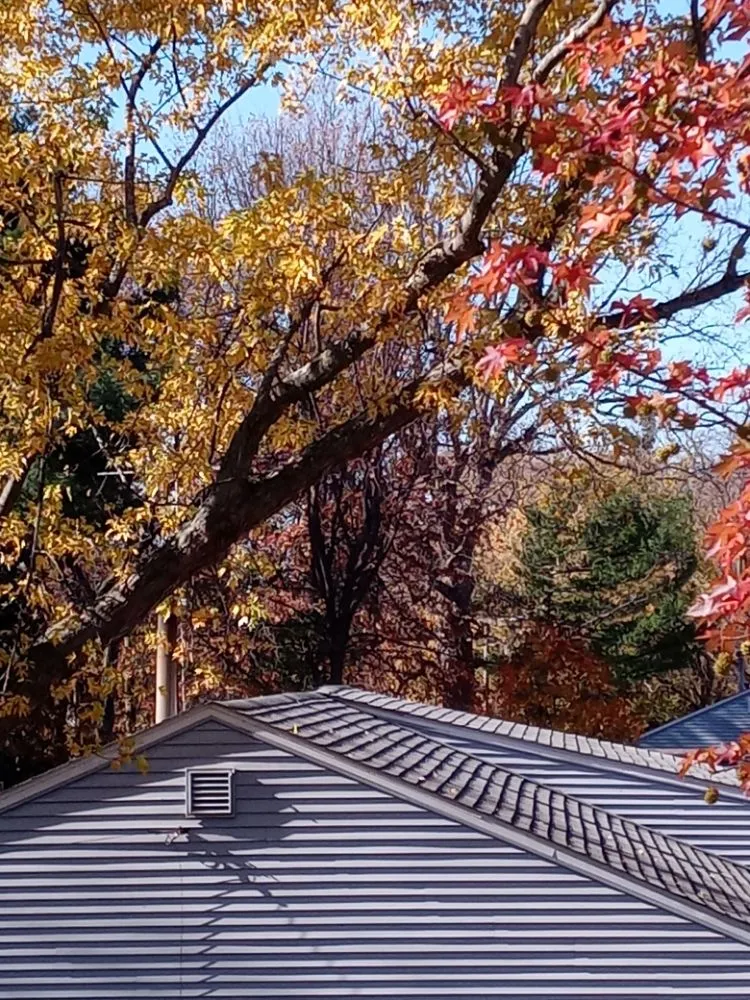 Slide of Perfectionist Roofers