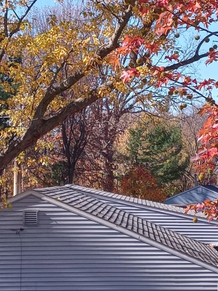 Slide of Perfectionist Roofers