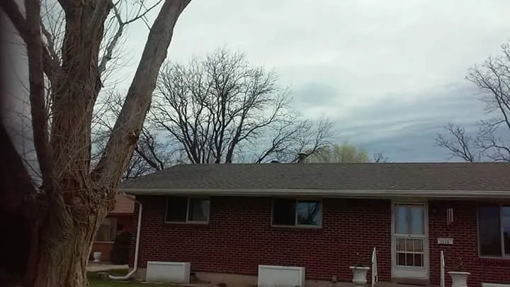 Slide of Perfectionist Roofing