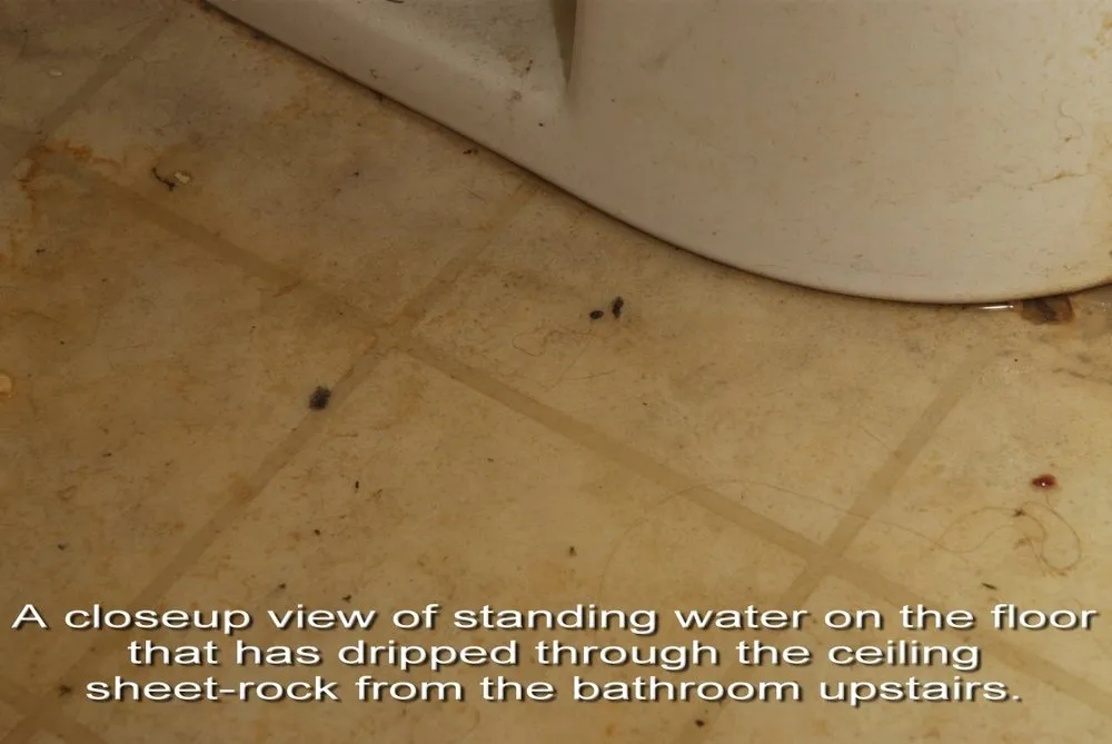 Slide of Performance Home Improvement