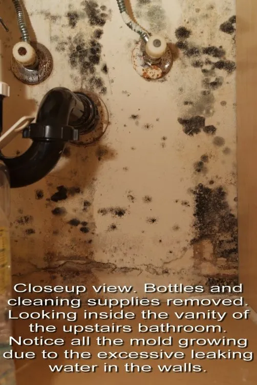 Slide of Performance Home Improvement