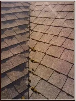 Slide of Performance Roof Care