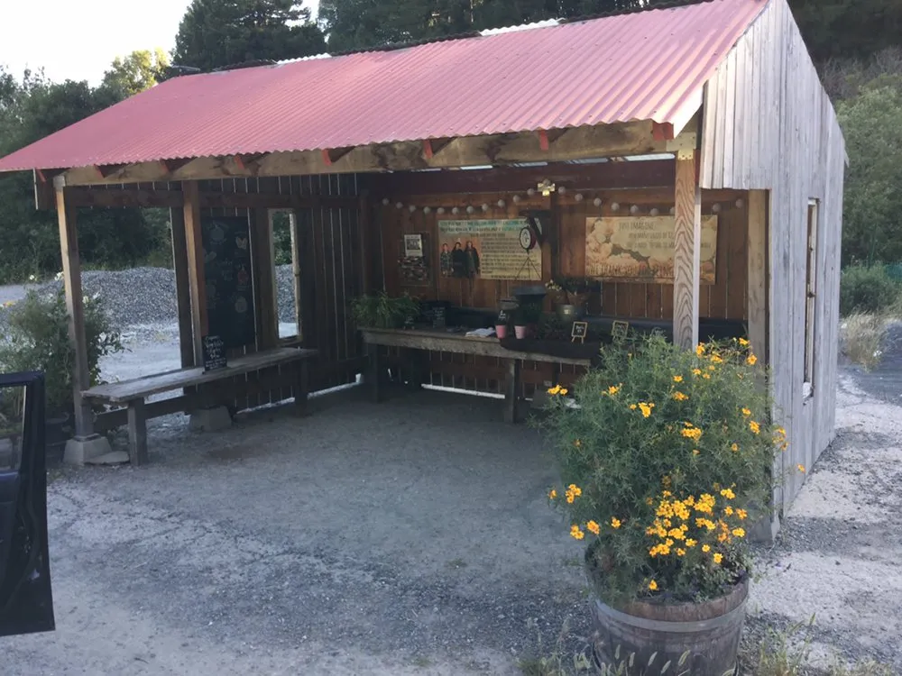 Slide of Performance Roofing