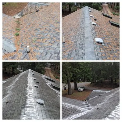 Peritas Outdoor Services Logo