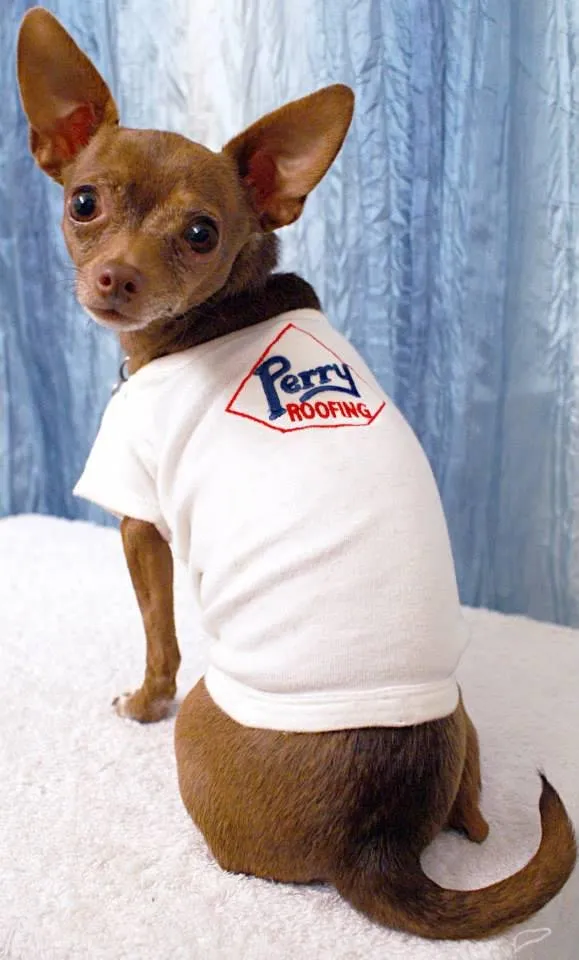 Slide of Perry Roofing