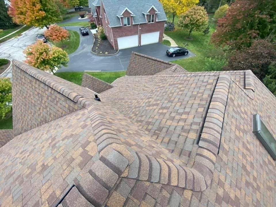 Slide of Perry's Professions