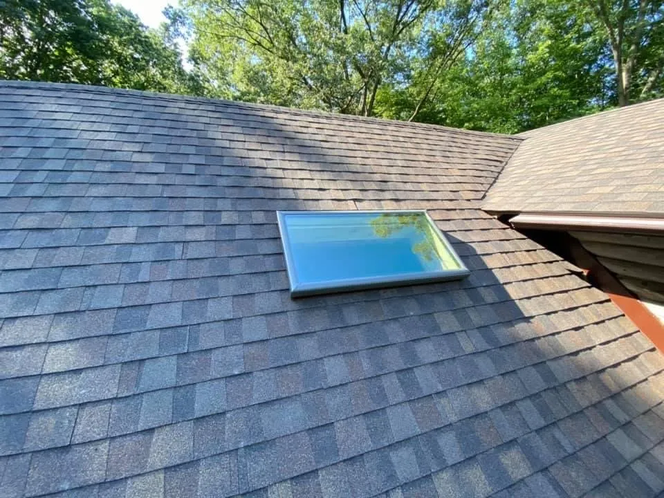 Slide of Perry's Professions