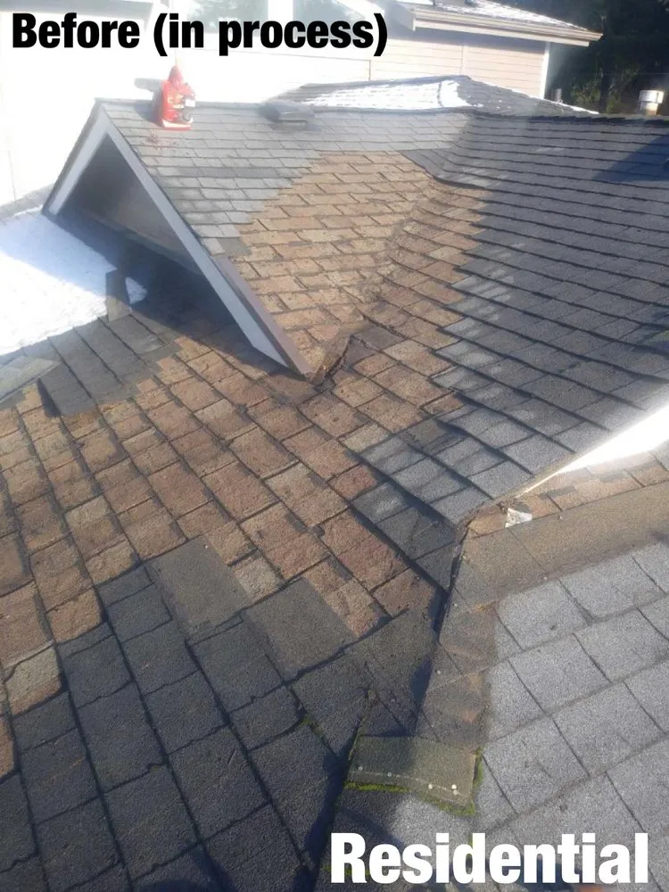 Slide of Pestana Roofing