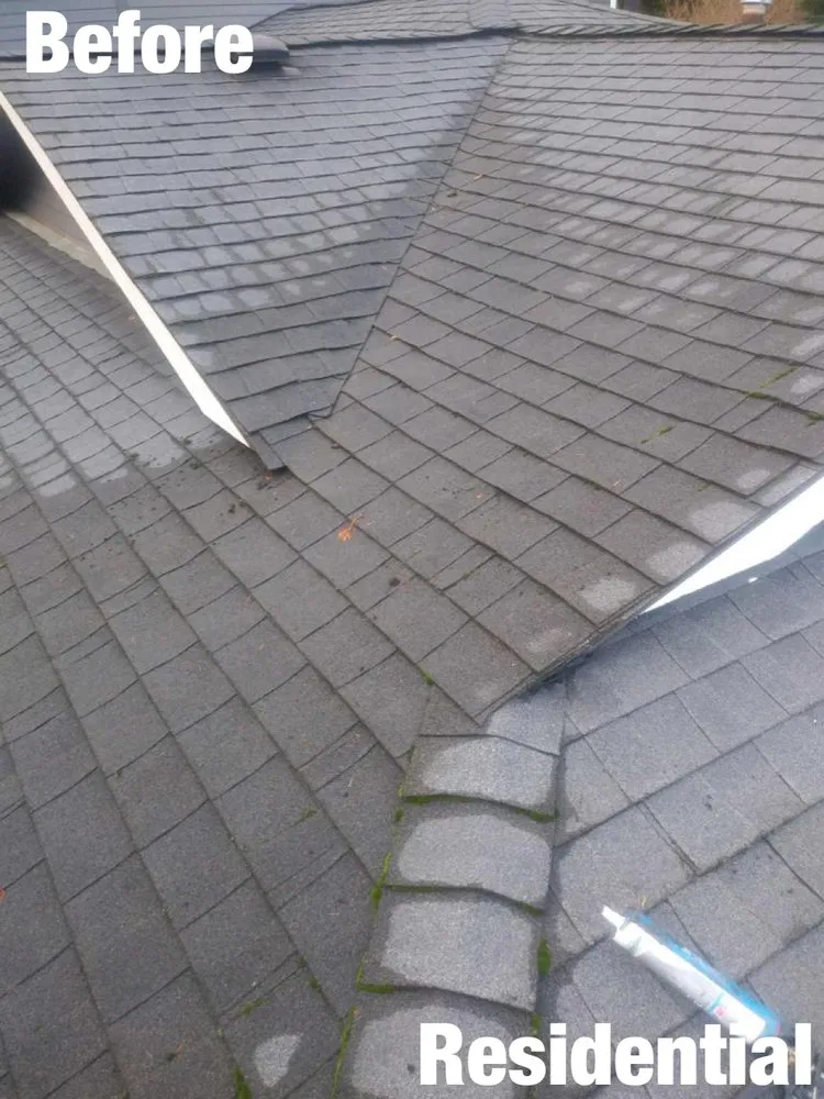 Slide of Pestana Roofing