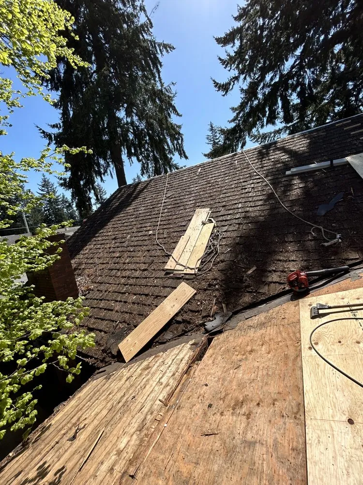 Slide of Pestana Roofing