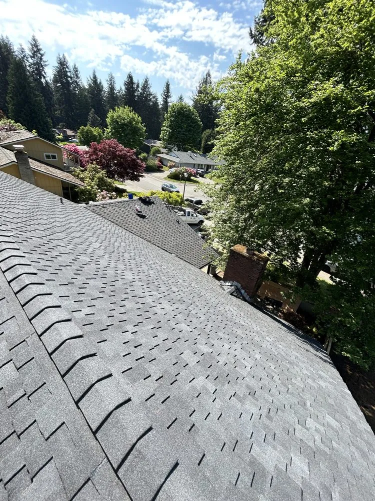 Slide of Pestana Roofing