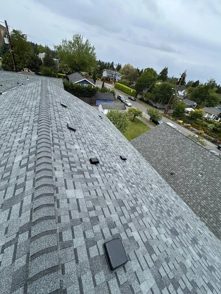 Slide of Pestana Roofing