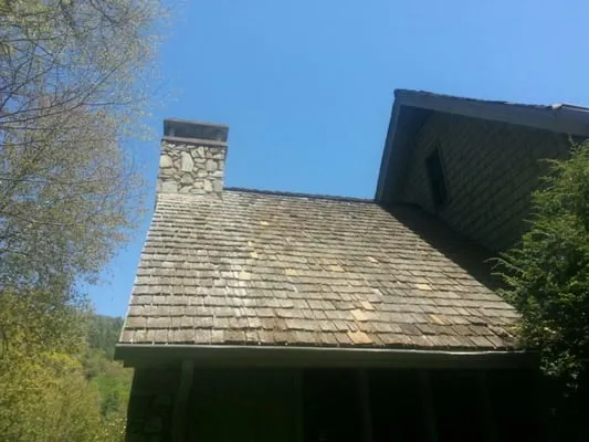 Pete Daley Roofing Logo