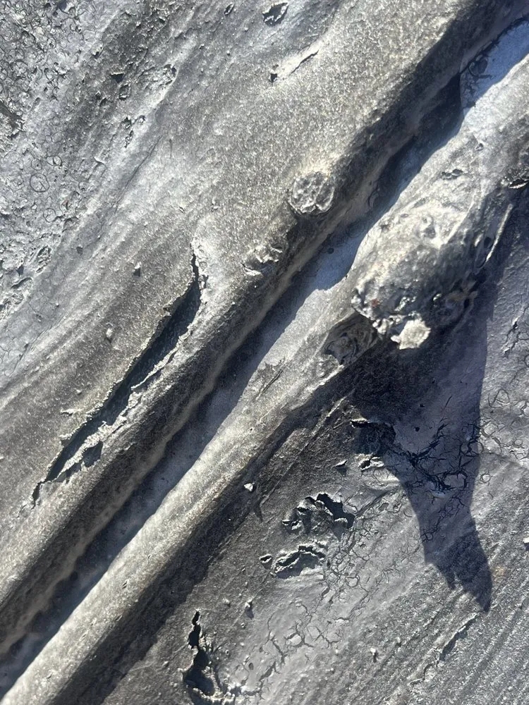 Slide of Peter Gorman roofing