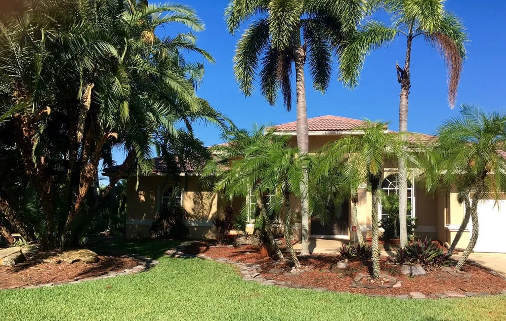 Slide of Petito Roofing