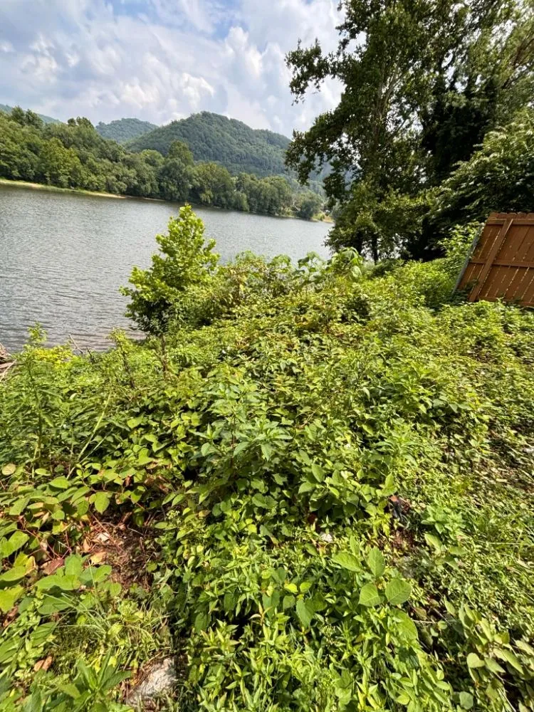 Slide of Phares Property Management