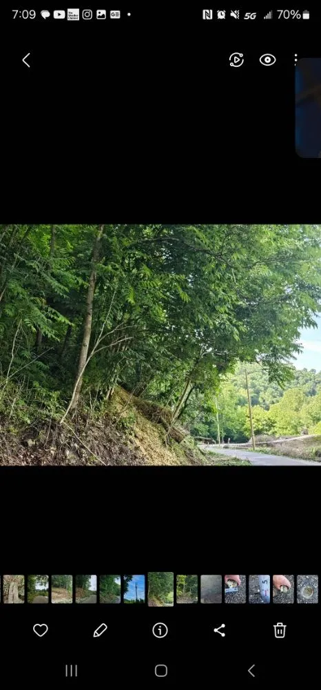 Slide of Phares Property Management