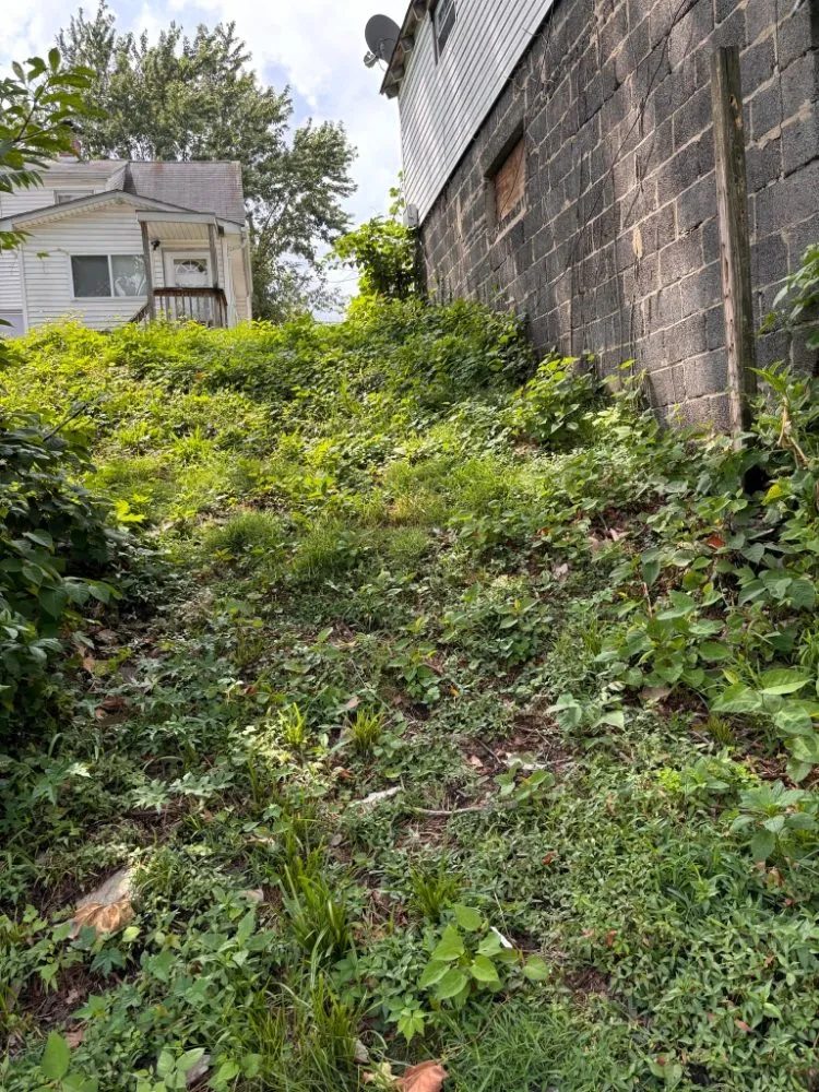 Slide of Phares Property Management