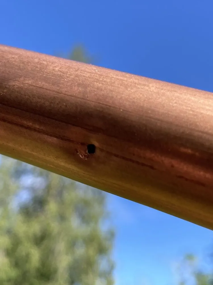 Slide of Phil and Sons Roofing