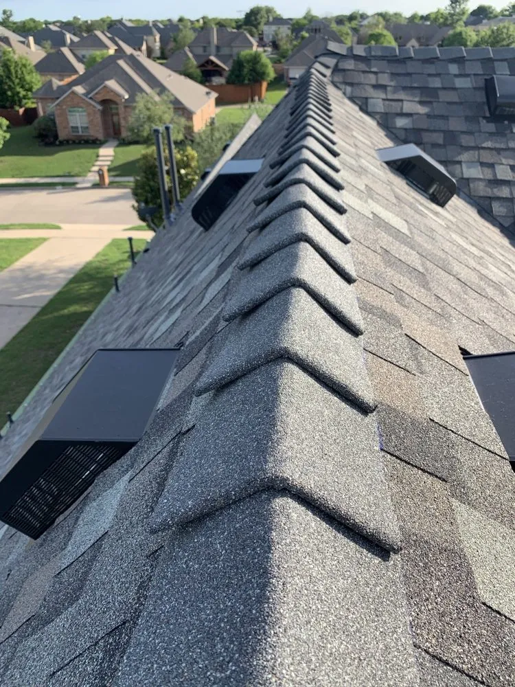 Slide of Phil The Roofer