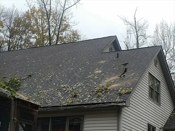 Slide of Phil's Construction