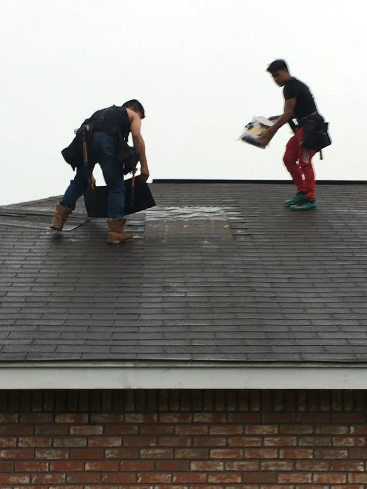 Slide of Phoenix BIG