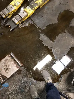 Phoenix Coating Logo